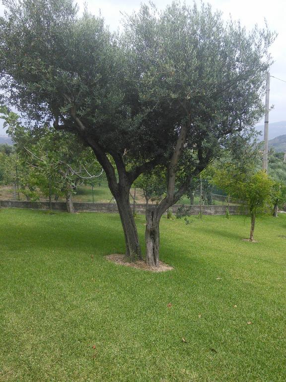 La Selva Hotel Agropoli Eksteriør billede