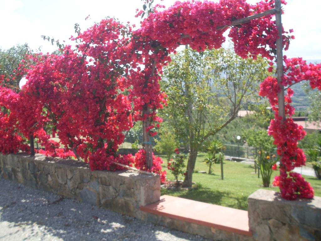 La Selva Hotel Agropoli Eksteriør billede