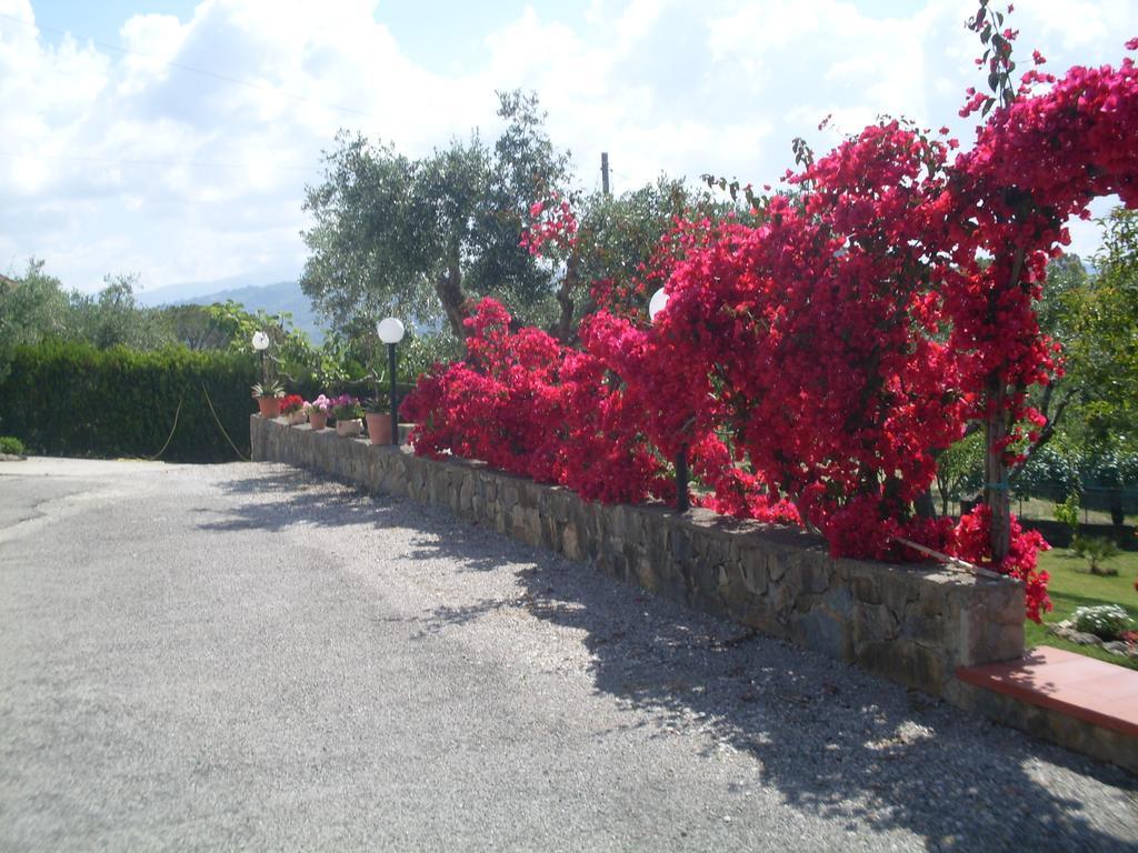La Selva Hotel Agropoli Eksteriør billede