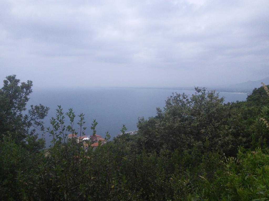 La Selva Hotel Agropoli Eksteriør billede